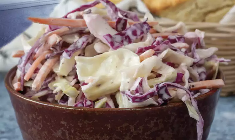 Coleslaw, the very different food of the future as imagined by a doomed cookbook.