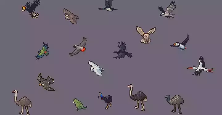 Birds of the Dwarf Fortress