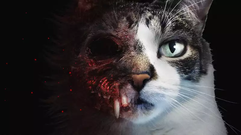 In this new horror game, you are a cat and your name is Biscuit.