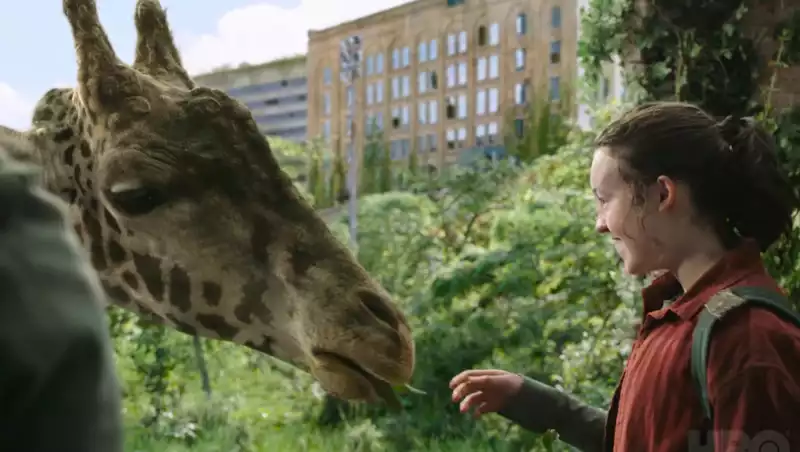 Yes, the giraffe in HBO's "The Last of Us" finale was real.