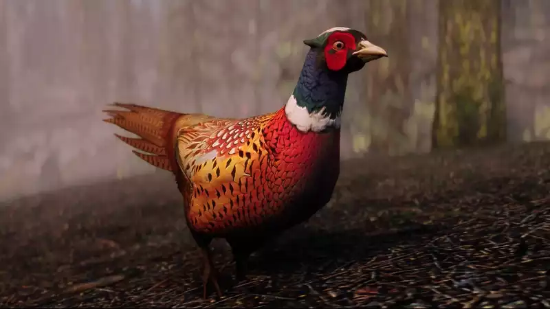 Lore-friendly Skyrim mod fixes most glaring realism error: pheasant