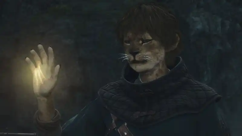 There is a mod in "Dragon's Dogma 2" to silence pawns.